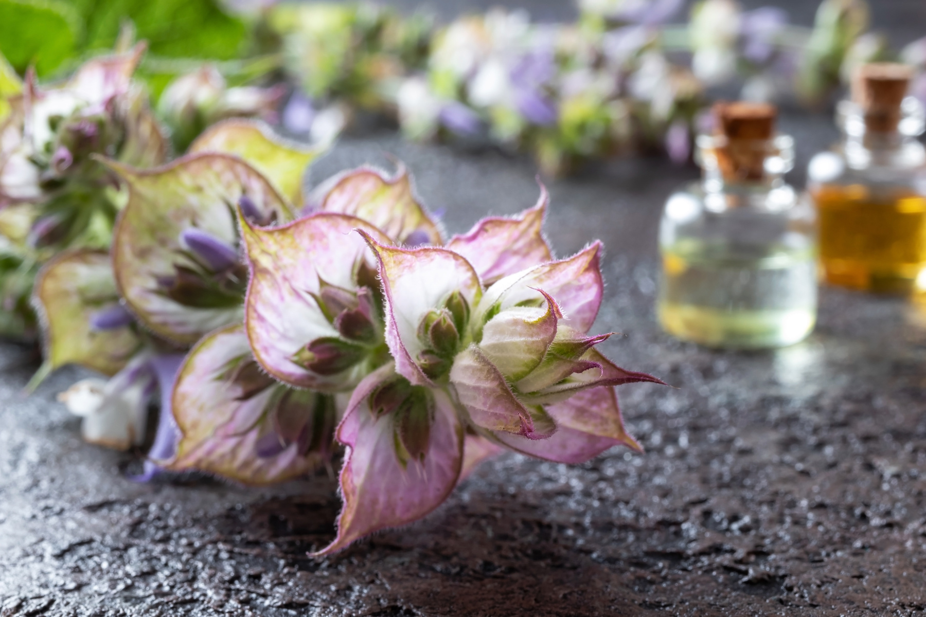 Comment créer un parfum naturel sur mesure ?