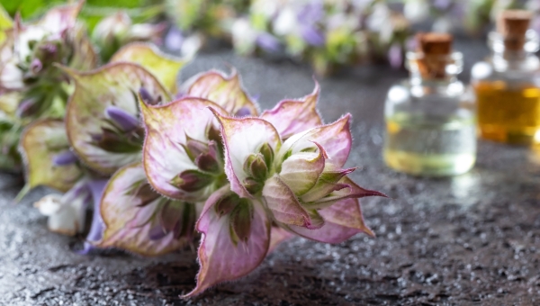 Comment créer un parfum naturel sur mesure ?