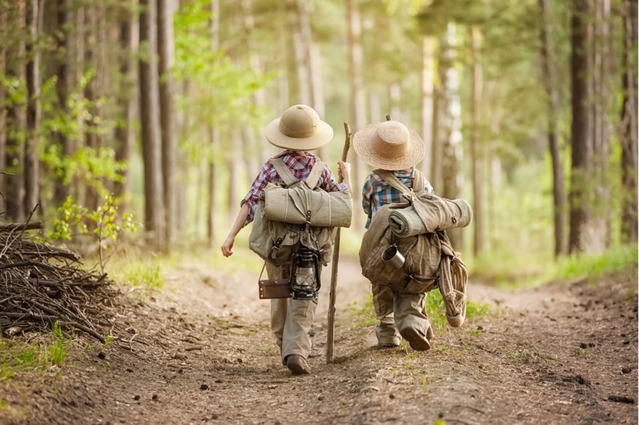 Explorons la forêt