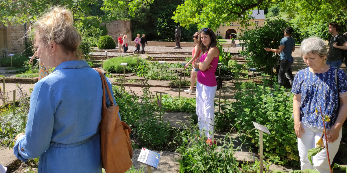 Cours à l'école des plantes